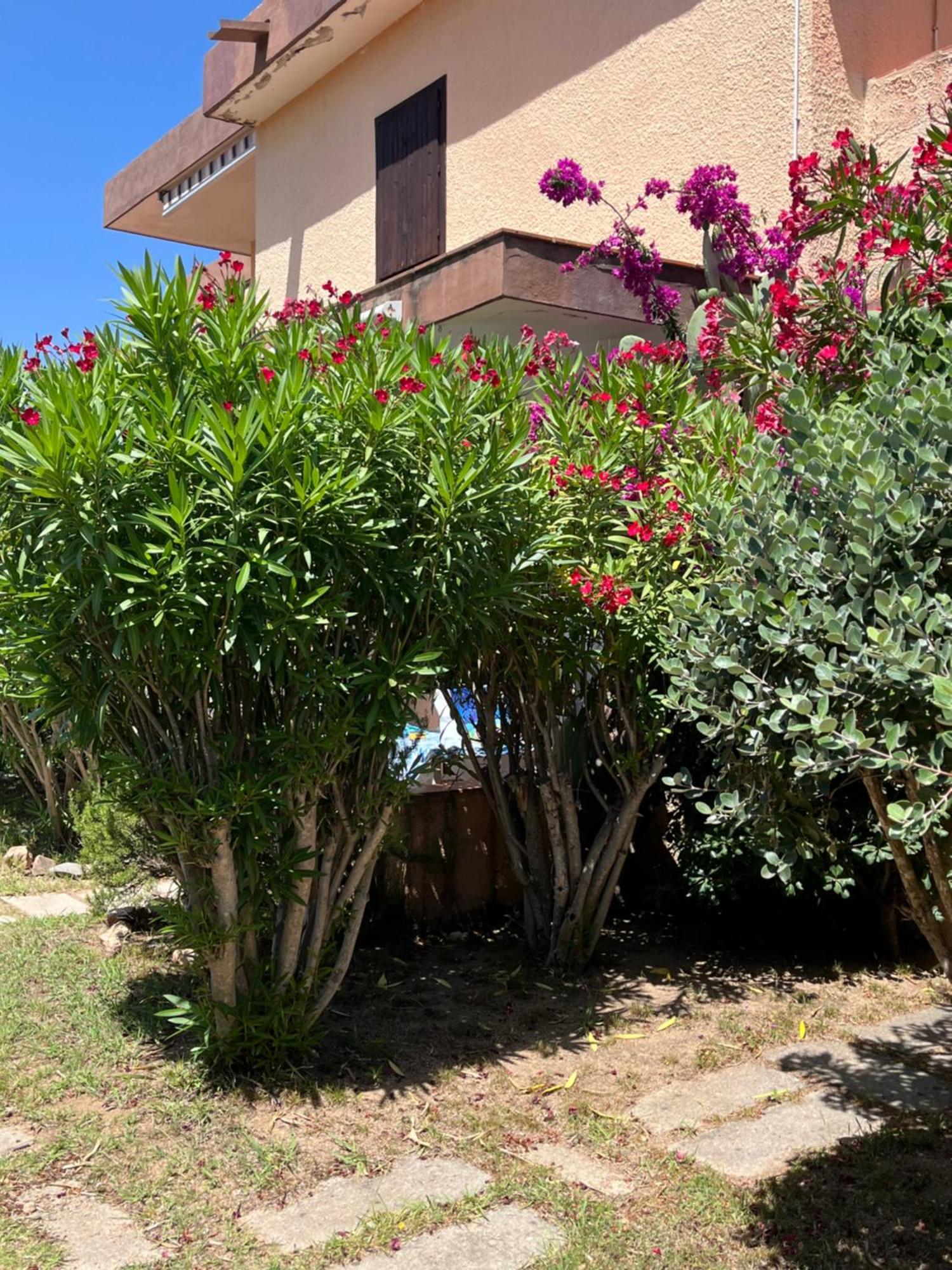 Bilocali Residenza Mediterranea