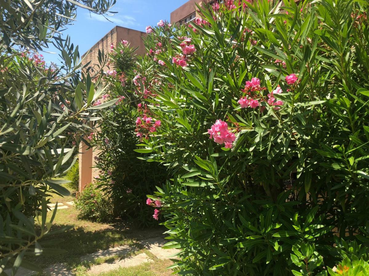 Bilocali Residenza Mediterranea *